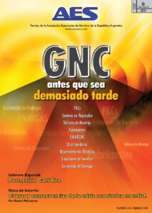 Portada Revista AES Nº 244