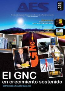 Portada Revista AES Nº 263