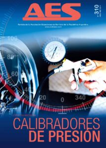 Portada Revista AES Nº 310