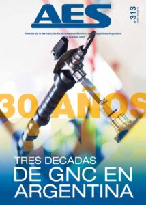 Portada Revista AES Nº 313